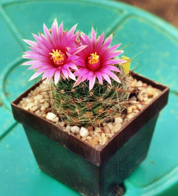 10a